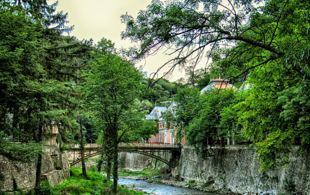 Guesthouse Magic Бэиле-Еркулане Экстерьер фото