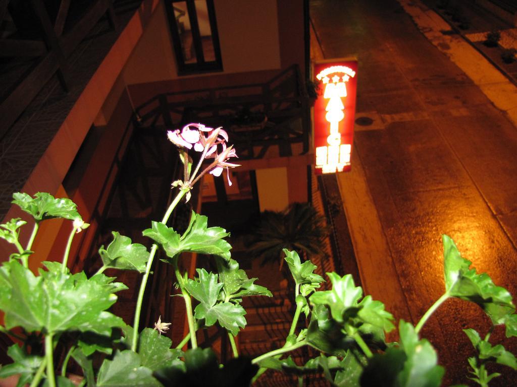 Guesthouse Magic Бэиле-Еркулане Экстерьер фото